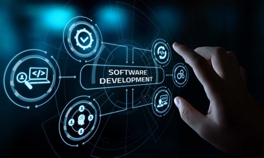 Software Support Services in Limpopo